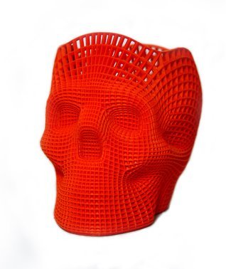 3d printed skull